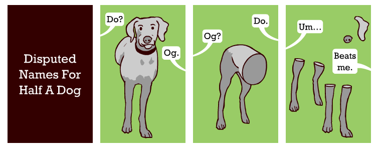 Half A Dog Half A Dog