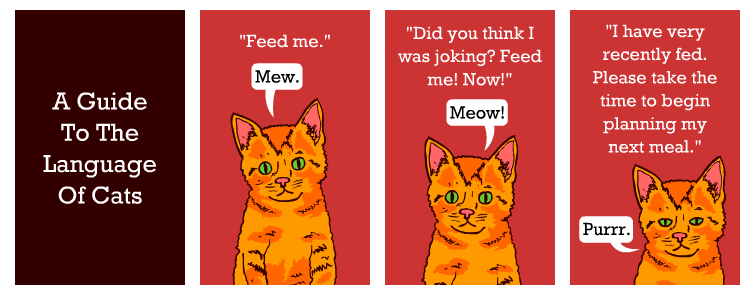 Cats Meow