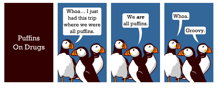 Puffin